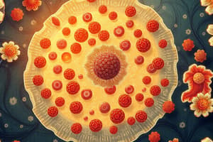 Cell Biology Quiz: Organelles and Functions