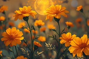 Advanced AI Analysis of Marigolds