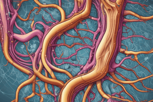 Anatomy LE 1: Muscle and Nervous Tissue