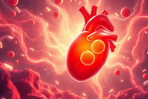 Exam 22 - Drugs for Cardiovascular II