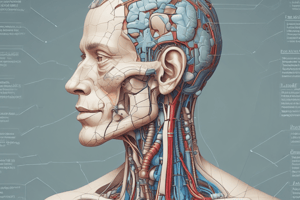 Terminologia Medical: Root Words, Suffixes, Prefixes, e Abbreviations