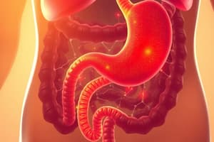 Introduction to Digestion and Absorption