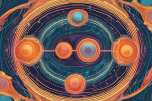 Cell Cycle Phases Overview