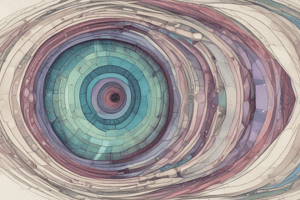 Embryonic Development Order of Structures Quiz