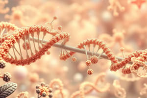 RNA Polymerase Overview and Structure