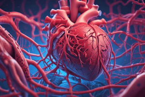 Infective Endocarditis Overview