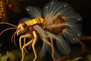 Invertebrates vs Vertebrates