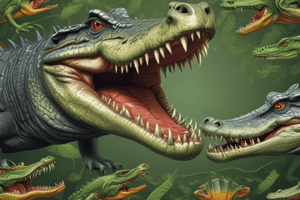 Crocodile Life Cycle Summary