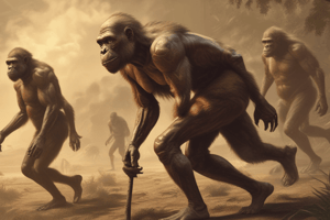 Homo Erectus vs Modern Humans