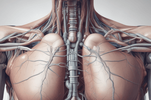 Types of Pneumothorax