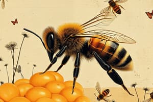 History of Apiculture in India