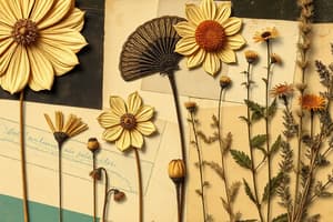 Drying methods for herbs and leaves