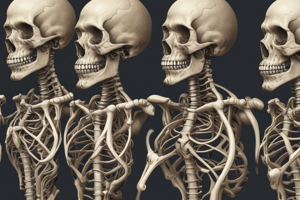 Chapter 9. Classification of Joints