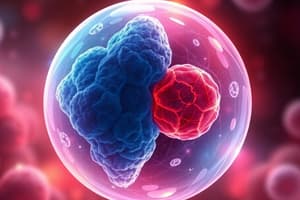 Biology Chapter on Mitosis and Meiosis