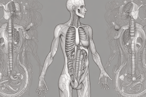 Module 10: Digestive System Anatomy and Function