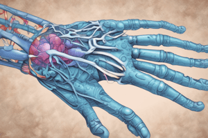 Rheumatoid Arthritis Treatment: Biologics After DMARDs