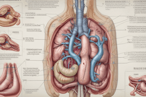 Anatomy of Bile Ducts