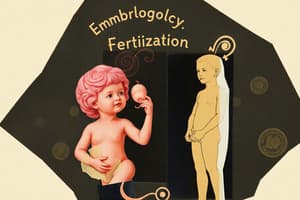 Embryology Overview Quiz