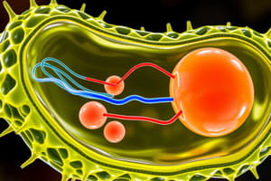 Molecular Transport Concepts