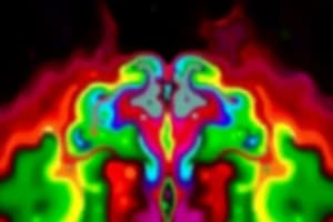 Neuroimaging Techniques