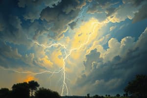 Lightning Detection Systems Quiz