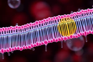 Cellular Transport Mechanisms Quiz