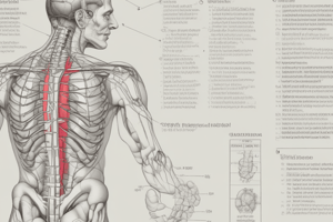 Week 13- Phys med all tests