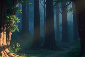 All About Forests