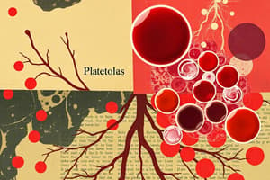 Componentes de la Sangre