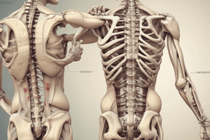 Ligamentous Support in Spinal Stability