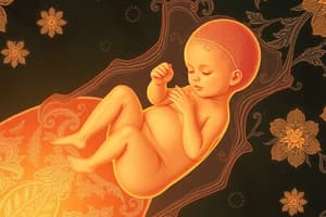 Embryology and Early Development Quiz