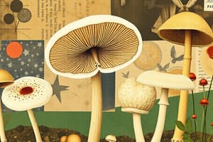 Fungal Identification and Classification Quiz