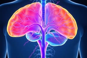 Functions and Divisions of the Nervous System