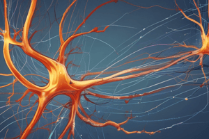 Physiology & Anatomy of Systems Quiz