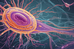 Chemotaxis and Flagella Rotation in Bacteria