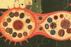 Cell Structure Overview