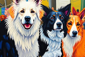 Hunde Ausstellung