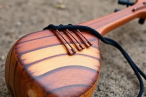 Indigenous Australian Music Instruments