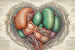 Acute Cholecystitis: Pathogenesis