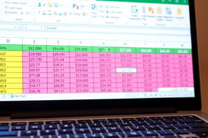 Excel Basics Quiz