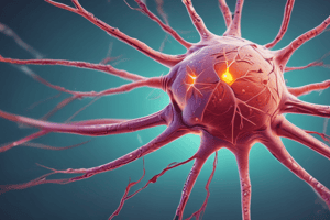 Neuroanatomy Fundamentals Quiz