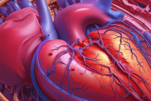 Heart Failure and Pre-Load vs After-Load