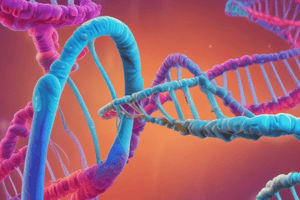 1.1 DNA: Ligging, Struktuur, en Funksies