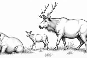 Ecology and Biodiversity