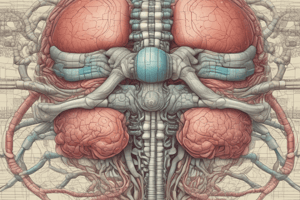 Anatomy of the Spinal Cord Meninges