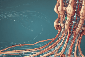 Neurophysiology: Reflexes