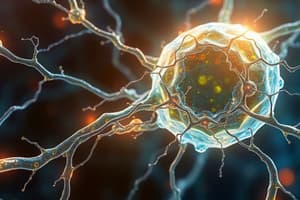 Connective vs Epithelial Tissues Quiz