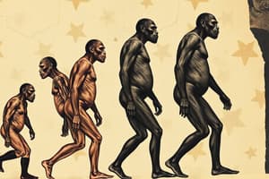 Human Evolution and Genus Homo