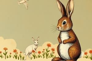 The Tale of Peter Rabbit