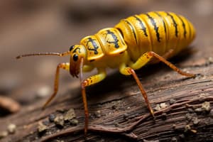 Arthropods: Characteristics, Diversity, and Metamorphosis